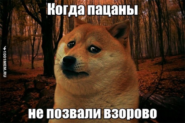 МД