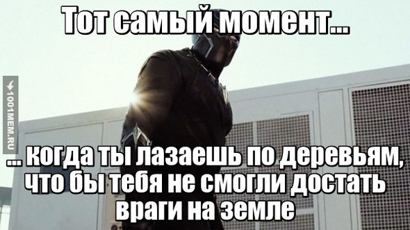 Местный стеб