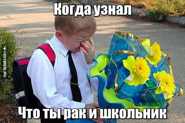 Рак и школьник