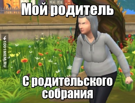 Симс XD