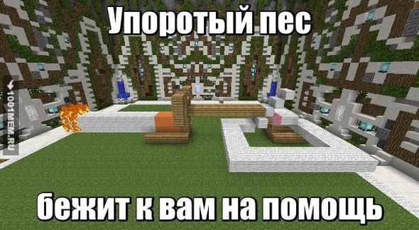 упоротый пес