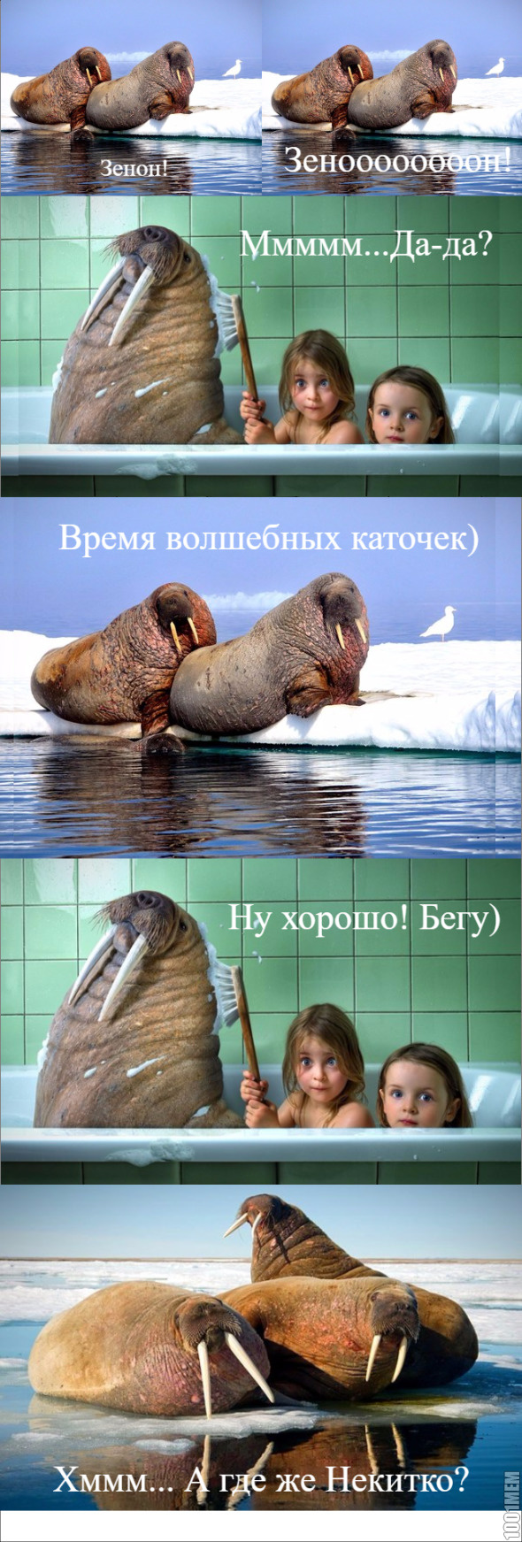 Моржи в доте 2