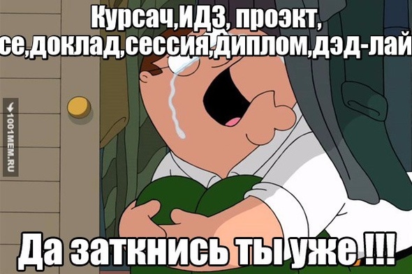 Когда началась учёба