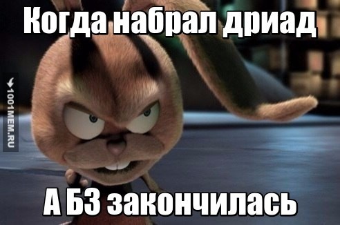 #зайцы