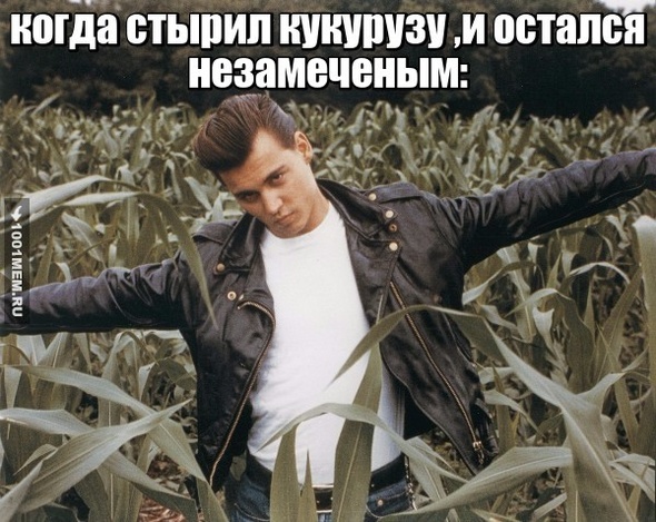 не все поймут)