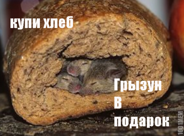 подарочек