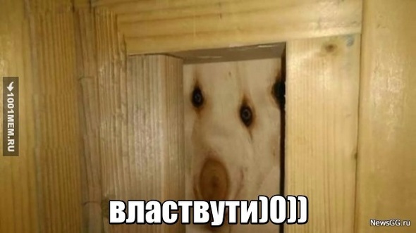 Дратути