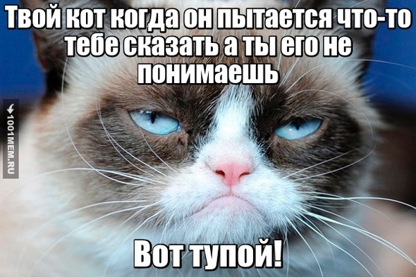 Тупой