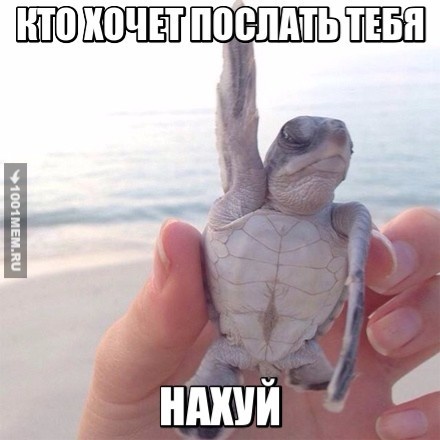 #нахуйпошел