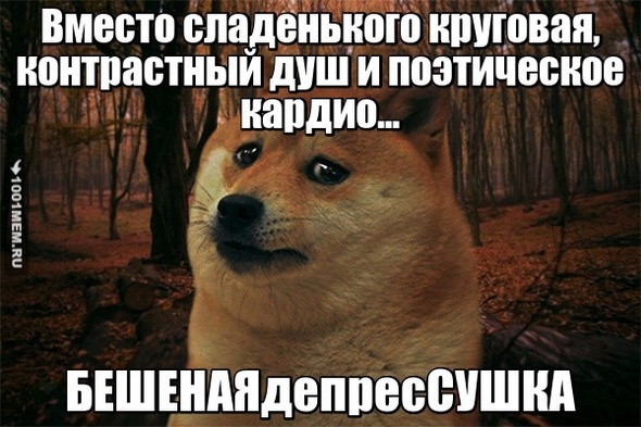 Бешеныемемы