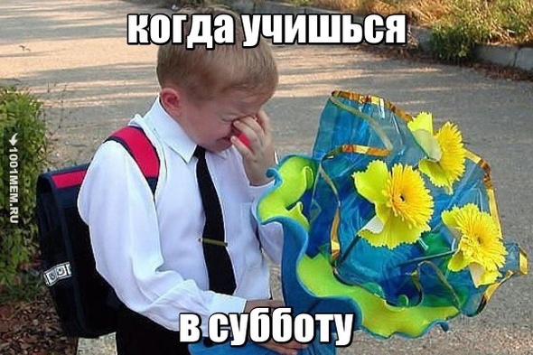 Жиза