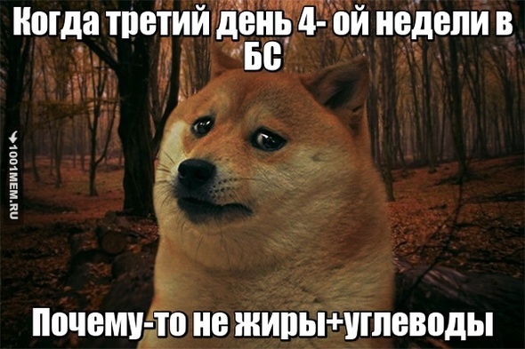 #бешенныемемы