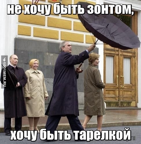 Зонт: