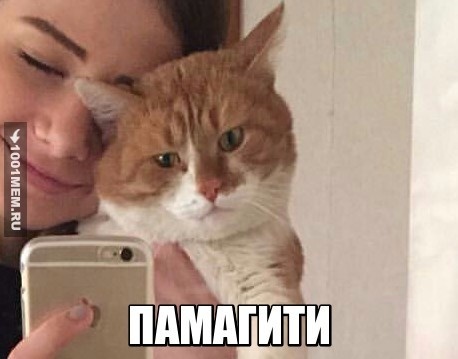 котапост