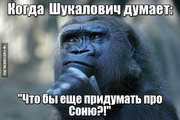 шукал