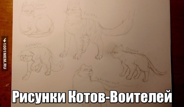 Рисунки Котов-Воителей