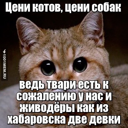 #ЦеникотовЦенисобак