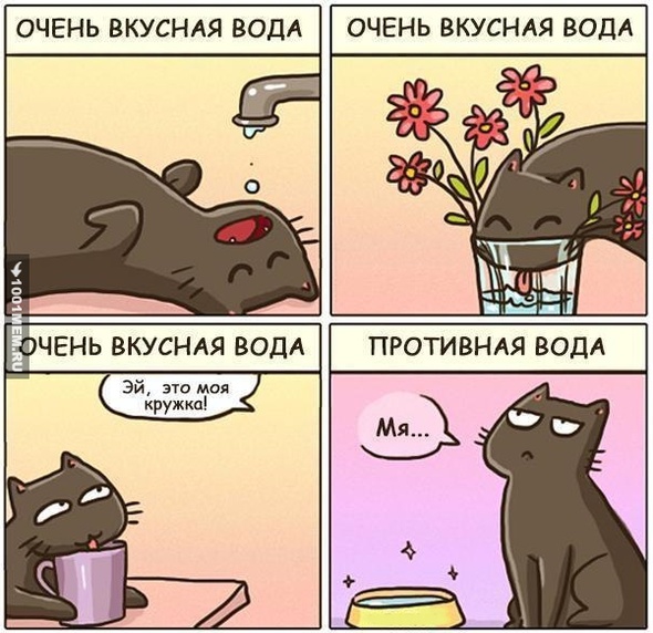 Кошачья логика