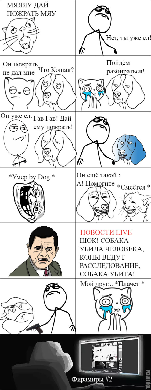 История