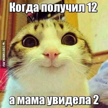 Когда получил 12