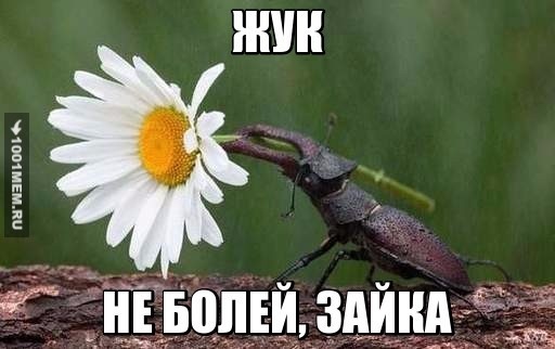 фывфыв