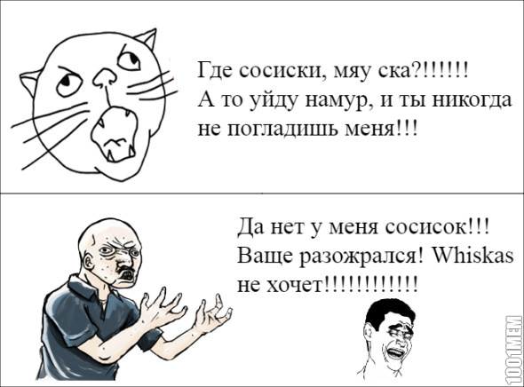 Будущее хозяинов котов...