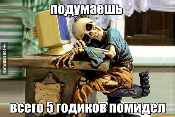 ну да 5 годиков