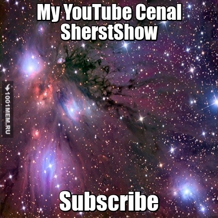 SherstShow