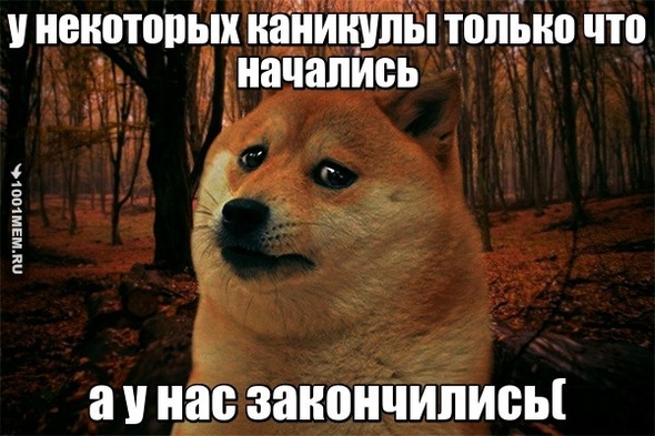 жиза