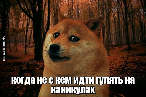 жиза