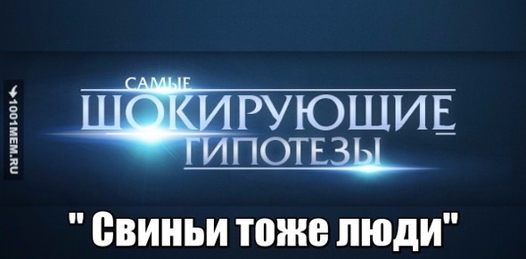 Документалка  о моих друзьях