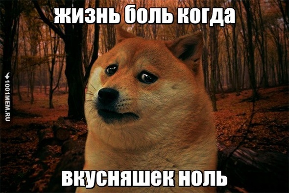 Жизнь боль