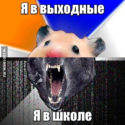 Школа и выходные