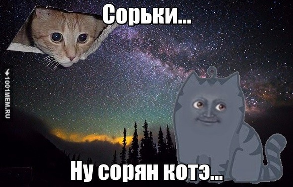 Сори