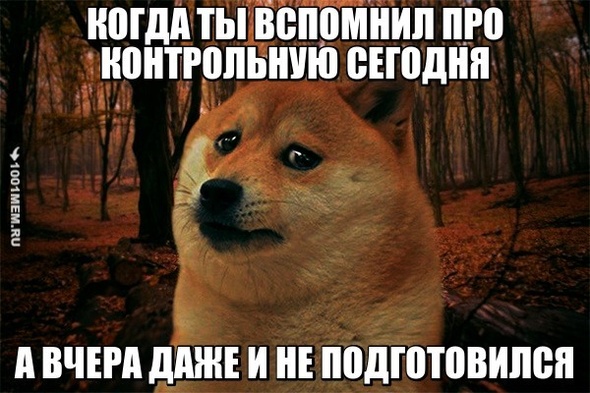 Контрольная