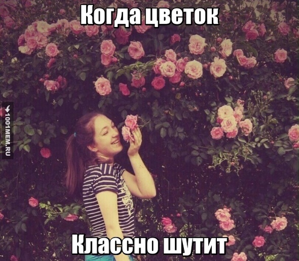 Учебная, сука, чтоб, ты, сдох