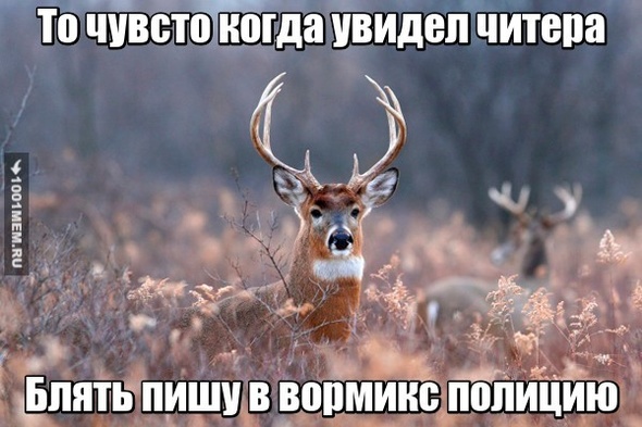 Читери