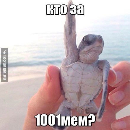 кто за?