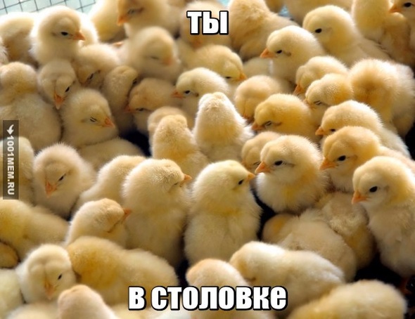 я в столовой