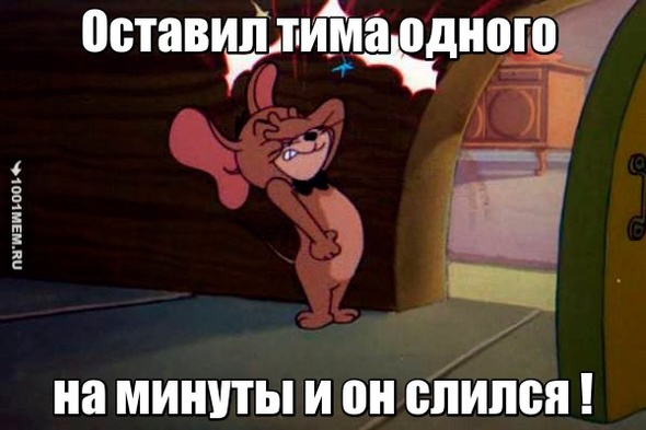 что за тимы ?