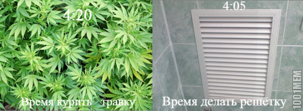 фпф