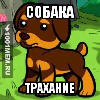 Просто Собака трахание