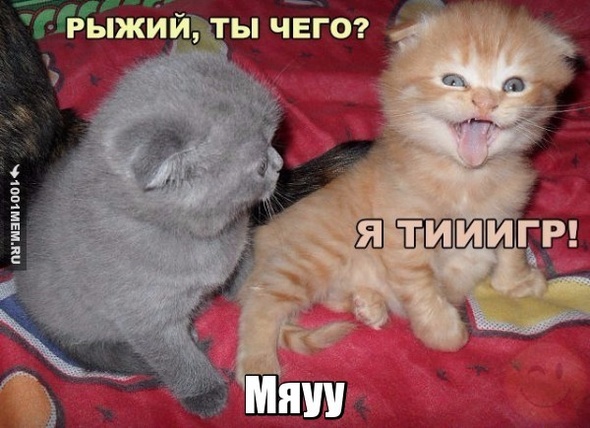 Мяуу