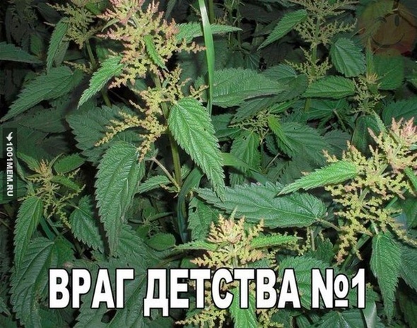 Знай врага в лицо