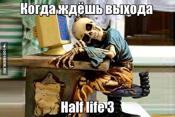 Half life