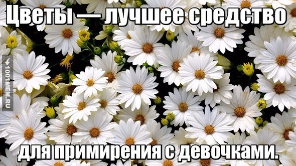 цветы