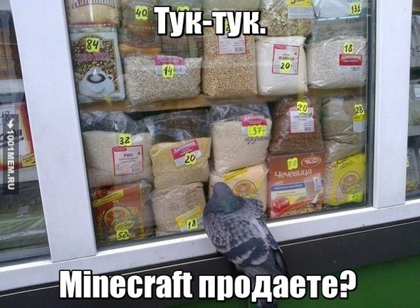 Minecraft,Голубь