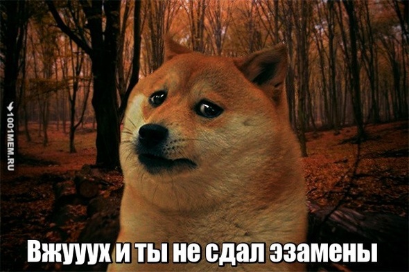 йцйцуй