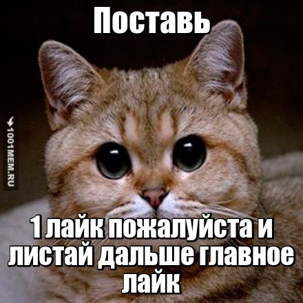 Мм.. странно вот вся жизнь