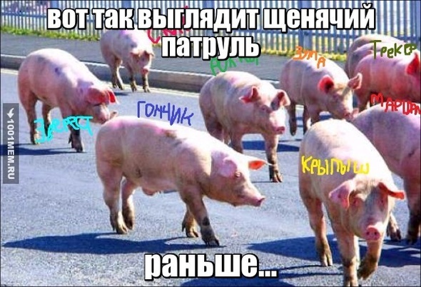 щенячий патруль раньше